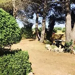 Aguait I - With Private Mountain Per Runners, Trailer, Near Puerto Pollensa,belong To The And * Port de Pollença