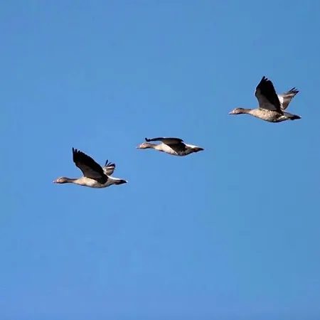 Вилла Aguait I - With Private Mountain Per Runners, Trailer, Near Puerto Pollensa,belong To The And Поланко