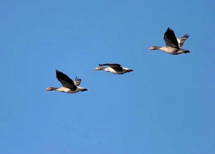 Villa Aguait I - With Private Mountain Per Runners, Trailer, Near Puerto Pollensa,belong To The And Port de Pollença